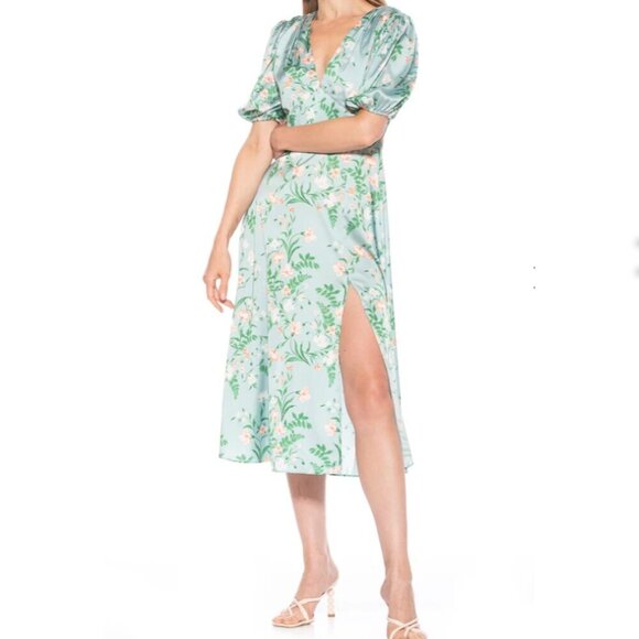 Sage Prints Floral Fit And Flare Dress - Picture 3 of 3
